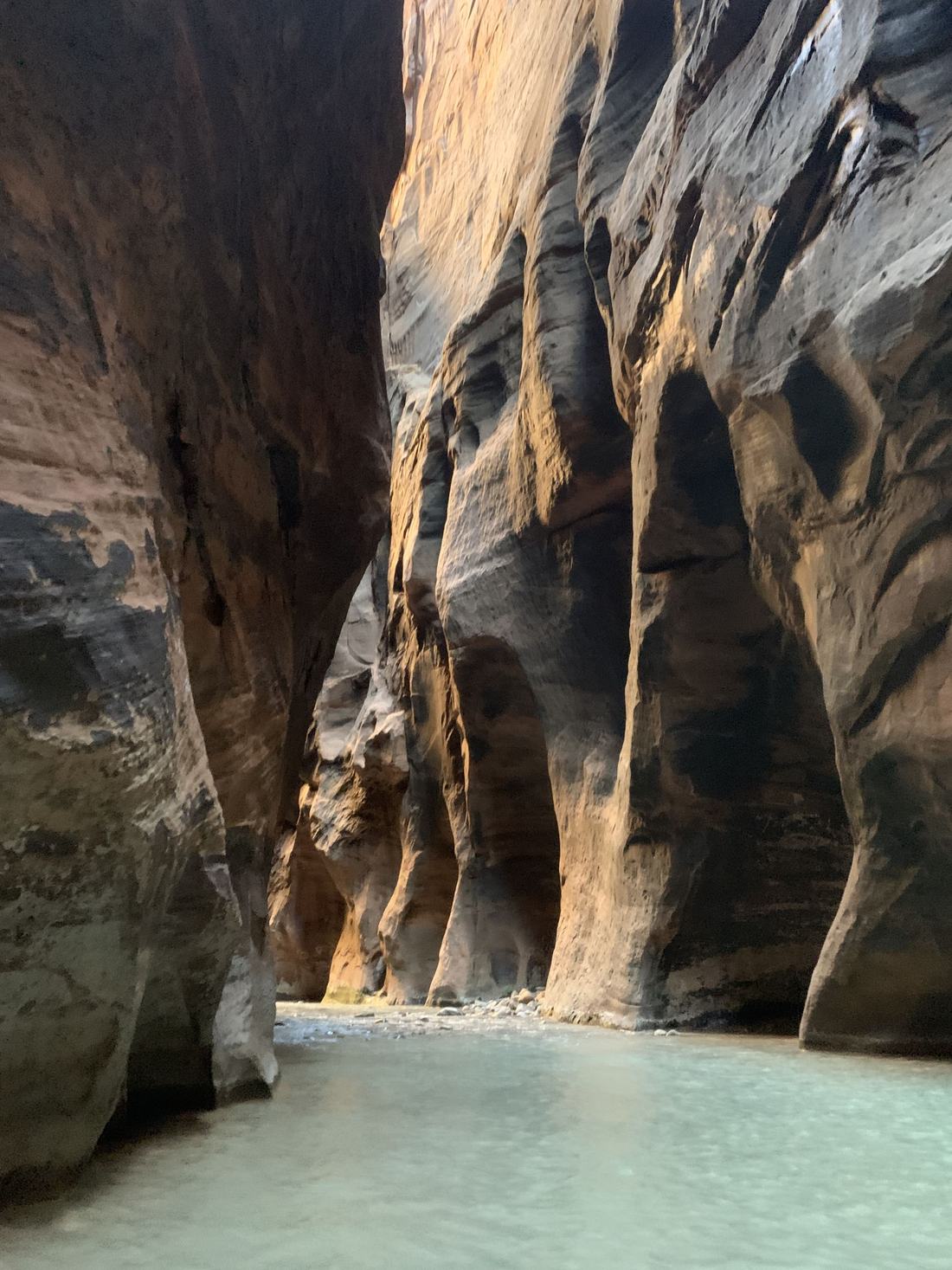 Slot canyon walls rising above the river in Zion Narrows, Utah.